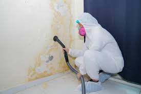 Best Industrial Mold Remediation  in Fairfax Station, VA